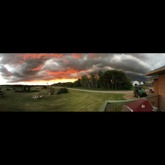 Meet your Posher, Kerra - Picture 1 of 1